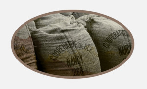 Coopérative Agricole Lorraine : une histoire