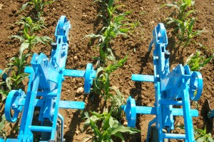 Coopérative Agricole Lorraine - Actualités