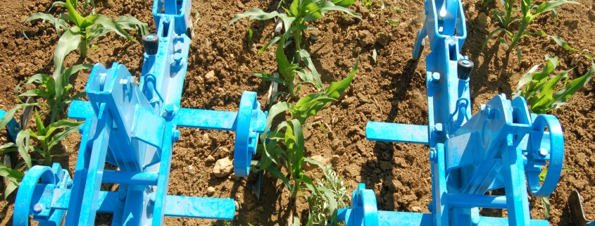 Coopérative Agricole Lorraine - Actualités