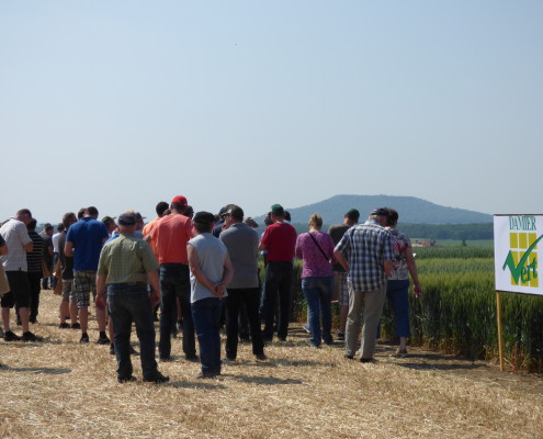 damier vert- Groupe CAL - Coopérative Agricole Lorraine