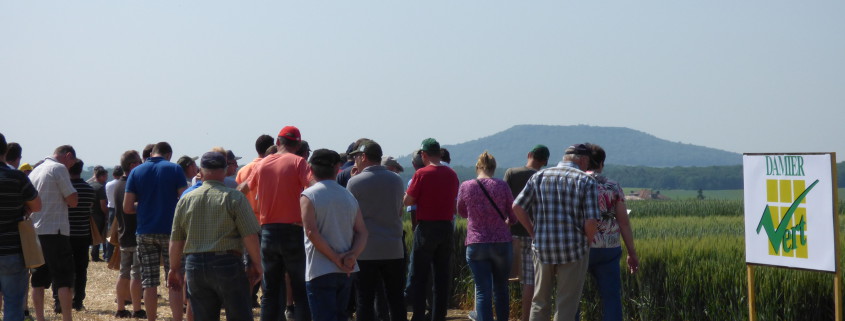 damier vert- Groupe CAL - Coopérative Agricole Lorraine