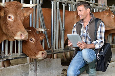 L'expertise de la Coopérative Agricole Lorraine